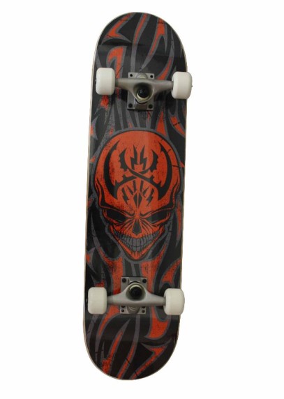 Skateboard WF3108AE-2